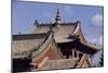 Mongolia, Ulan Bator, Architectural Detail of Choigyn Lam Soum Monastery-null-Mounted Giclee Print