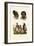 Mongolians, 1833-39-null-Framed Giclee Print