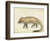 Mongoose, 1872-Claude Conder-Framed Giclee Print