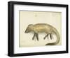 Mongoose, 1872-Claude Conder-Framed Giclee Print