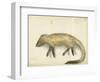 Mongoose, 1872-Claude Conder-Framed Giclee Print