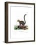 Mongoose Lemur-null-Framed Giclee Print