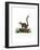 Mongoose Lemur-null-Framed Giclee Print