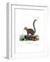 Mongoose Lemur-null-Framed Giclee Print