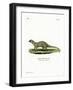 Mongoose-null-Framed Giclee Print