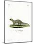 Mongoose-null-Mounted Giclee Print