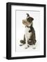 Mongrel Puppy, Brec, Wearing a Muzzle-Mark Taylor-Framed Photographic Print