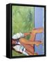 Framed Canvas