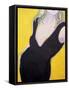 Framed Canvas