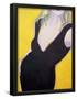 Essential Black