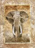 Elephant-Monica Reed-Art Print