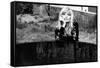 Monica Vitti Leaning on An Edge of a Well-Marisa Rastellini-Framed Stretched Canvas
