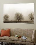 Trees-Monika Brand-Framed Photographic Print