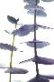 Just the Print
