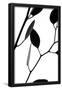 Essential Black