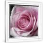 Gramercy White
