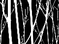 Laminate