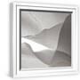 White Frame