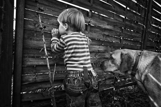 Photographic Print, , large