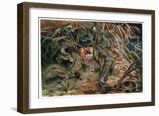 Monitor Lizard by Alfred Edmund Brehm-Stefano Bianchetti-Framed Giclee Print