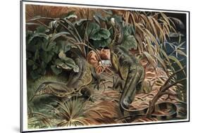 Monitor Lizard by Alfred Edmund Brehm-Stefano Bianchetti-Mounted Giclee Print