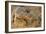 Monitor Lizard-DLILLC-Framed Photographic Print