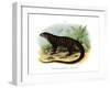 Monitor Lizard-null-Framed Giclee Print