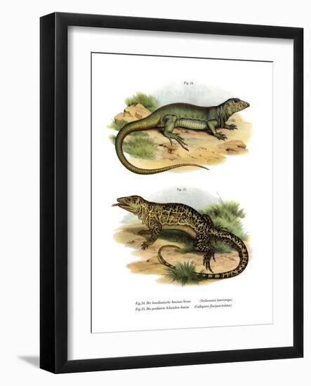 Monitor Lizard-null-Framed Giclee Print