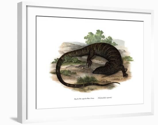 Monitor Lizard-null-Framed Giclee Print