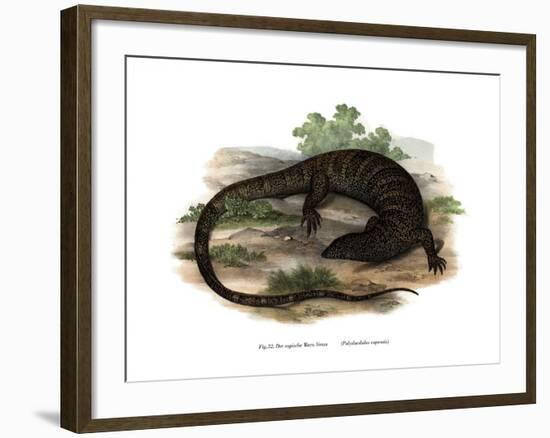 Monitor Lizard-null-Framed Giclee Print