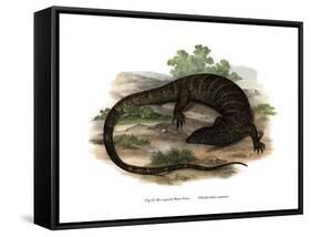 Monitor Lizard-null-Framed Stretched Canvas