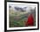 Monk and Farmlands in the Phobjikha Valley, Gangtey Village, Bhutan-Keren Su-Framed Photographic Print