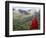 Monk and Farmlands in the Phobjikha Valley, Gangtey Village, Bhutan-Keren Su-Framed Photographic Print