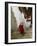 Monk Carrying Basket in Trongsa Dzong, Bhutan-Keren Su-Framed Photographic Print