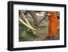 Monk Feeding Temple Elephant-Jon Hicks-Framed Photographic Print