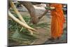 Monk Feeding Temple Elephant-Jon Hicks-Mounted Photographic Print