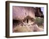 Monk Hermitage in Great Gobi Protected Area, Mongolia-Gavriel Jecan-Framed Photographic Print