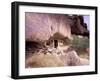 Monk Hermitage in Great Gobi Protected Area, Mongolia-Gavriel Jecan-Framed Photographic Print