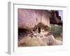 Monk Hermitage in Great Gobi Protected Area, Mongolia-Gavriel Jecan-Framed Photographic Print