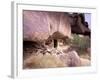 Monk Hermitage in Great Gobi Protected Area, Mongolia-Gavriel Jecan-Framed Photographic Print