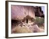 Monk Hermitage in Great Gobi Protected Area, Mongolia-Gavriel Jecan-Framed Photographic Print