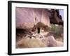 Monk Hermitage in Great Gobi Protected Area, Mongolia-Gavriel Jecan-Framed Photographic Print