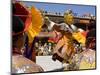 Monk in Wooden Mask in Traditional Costume, Hemis Festival, Hemis, Ladakh, India-Simanor Eitan-Mounted Photographic Print