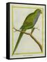 Monk Parakeet-Georges-Louis Buffon-Framed Stretched Canvas