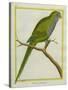 Monk Parakeet-Georges-Louis Buffon-Stretched Canvas