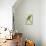 Monk Parakeet-Georges-Louis Buffon-Stretched Canvas displayed on a wall