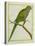 Monk Parakeet-Georges-Louis Buffon-Stretched Canvas