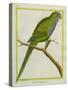 Monk Parakeet-Georges-Louis Buffon-Stretched Canvas