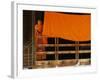 Monk Reading, Vientiane, Laos, Indochina, Southeast Asia, Asia-Godong-Framed Photographic Print