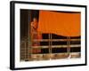 Monk Reading, Vientiane, Laos, Indochina, Southeast Asia, Asia-Godong-Framed Photographic Print